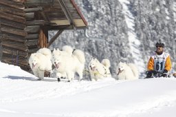 Kandersteg 2013